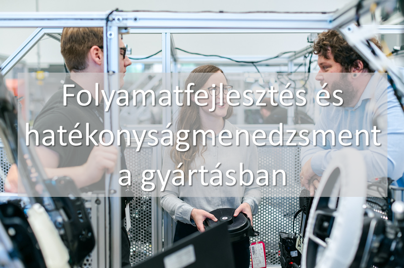 folyamatfejlesztés hatékonyságmenedzsment folyamatmérnök process engineering